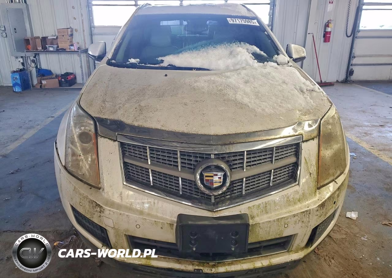 2011 Cadillac Srx Luxury Collection VIN:3GYFNAEY1BS565444 - 5