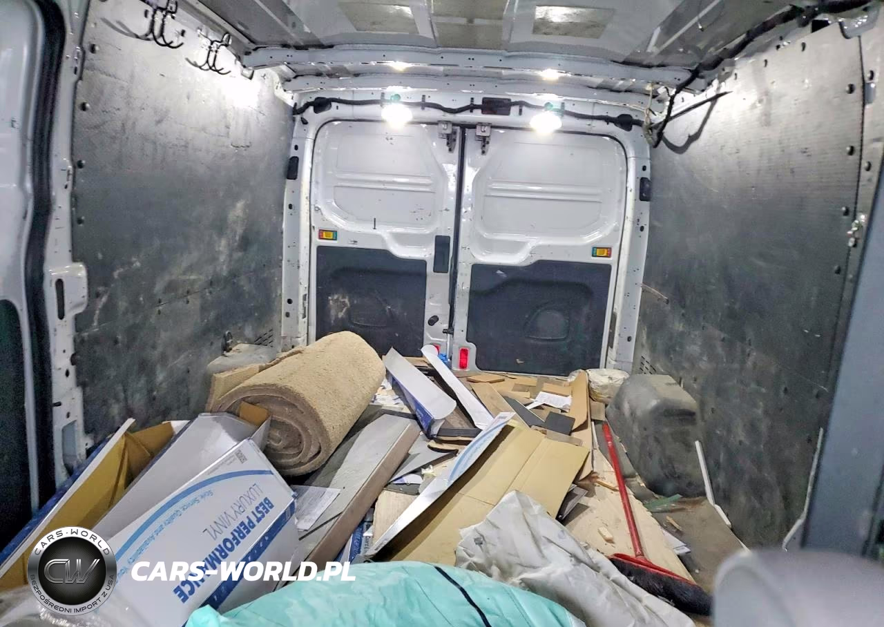 2019 Ford Transit T-250 VIN:1FTYR2ZM5KKB09894 - 10