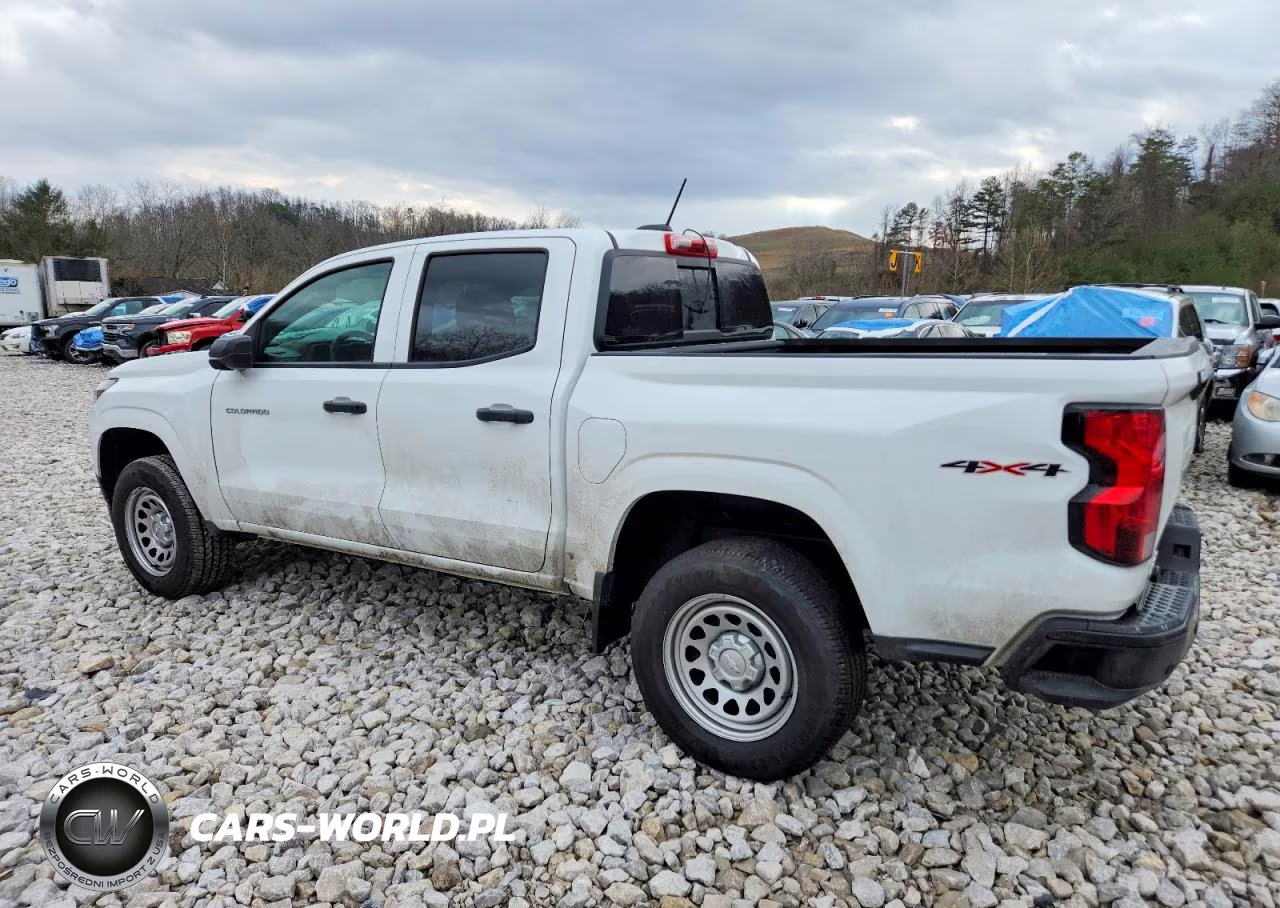 2025 Chevrolet Colorado VIN:1GCPTBEK7S1147537 - 2