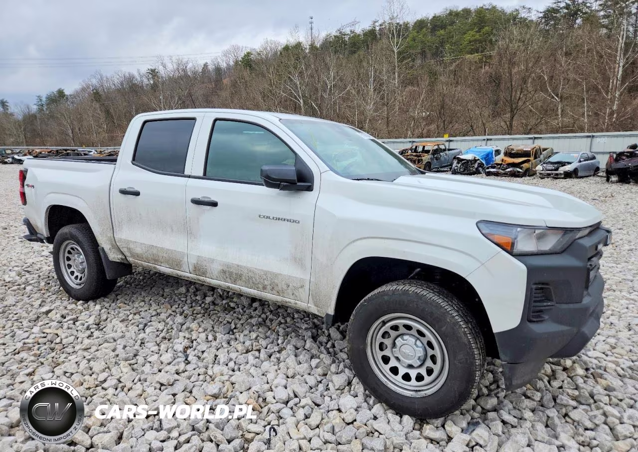 2025 Chevrolet Colorado VIN:1GCPTBEK7S1147537 - 4