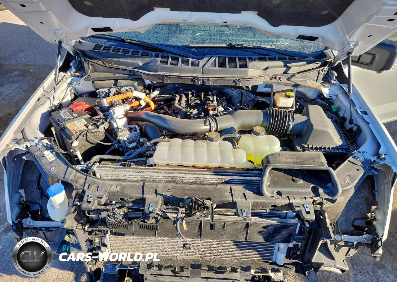 2024 Ford F150 Xlt VIN:1FTFW3LD9RFA87383 - 11