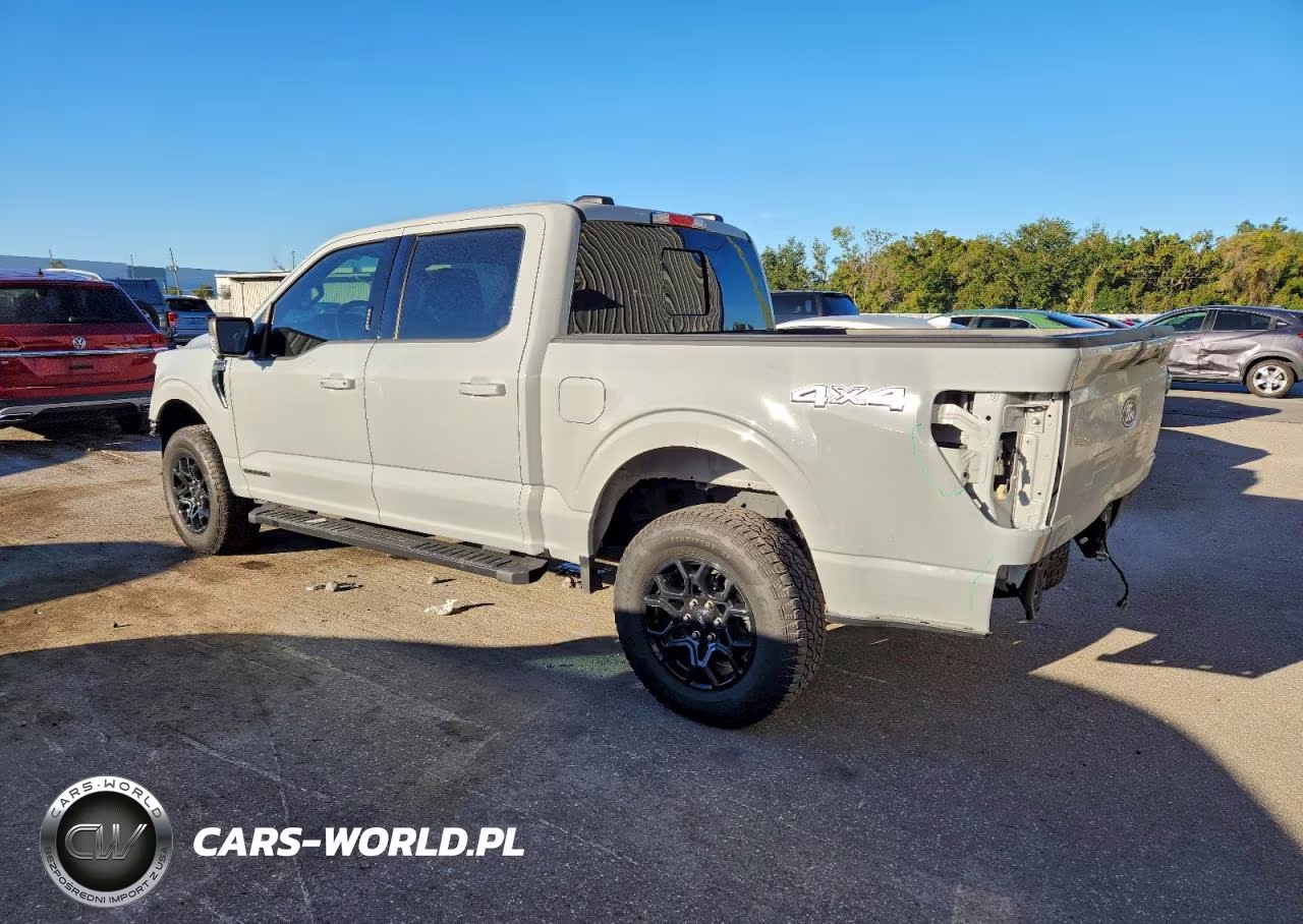 2024 Ford F150 Xlt VIN:1FTFW3LD9RFA87383 - 2