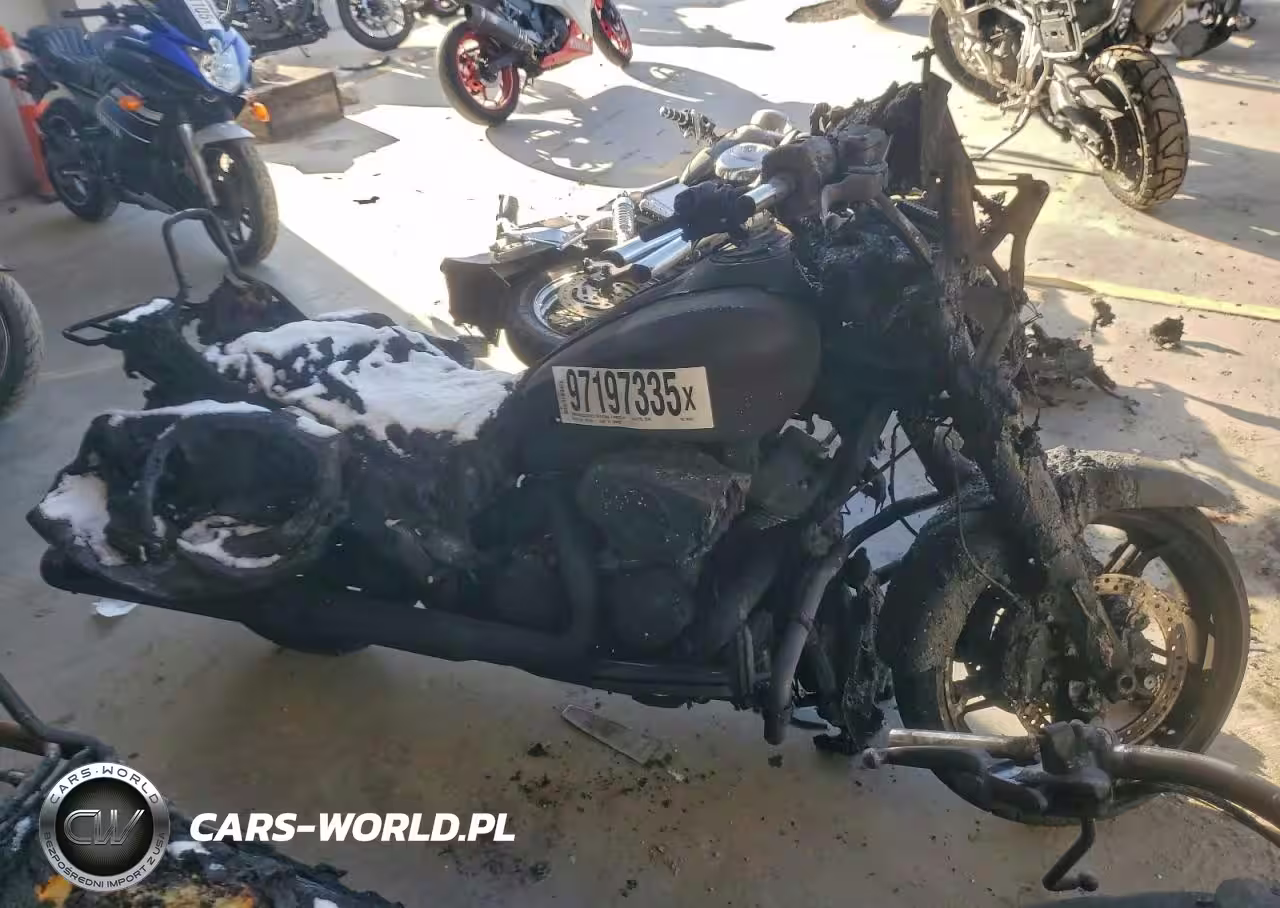 2024 Harley-Davidson Flhx