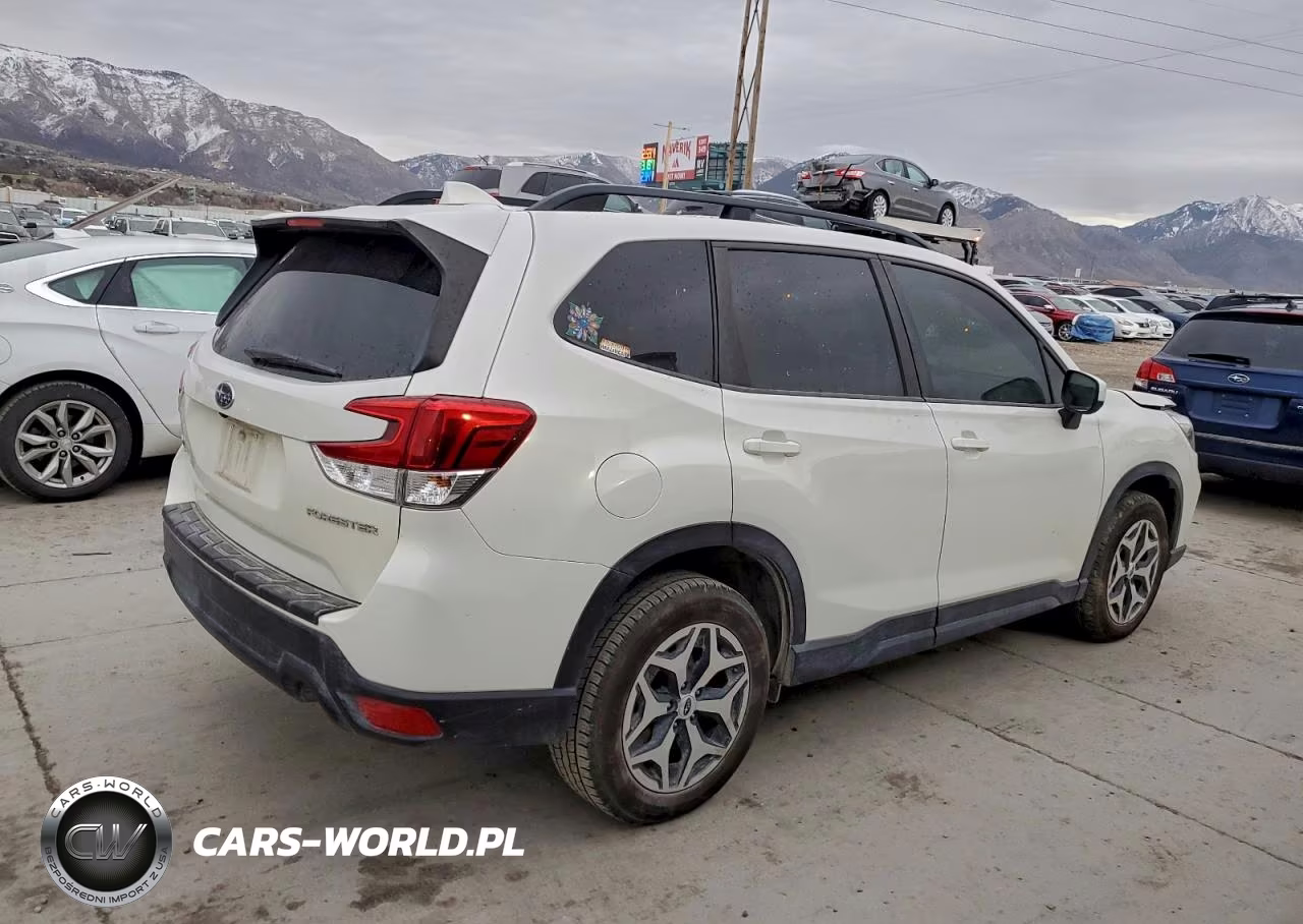 2019 Subaru Forester Premium VIN:JF2SKAGC8KH512538 - 3