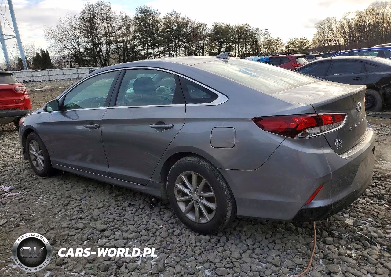 2019 Hyundai Sonata Se VIN:5NPE24AF7KH751175 - 2