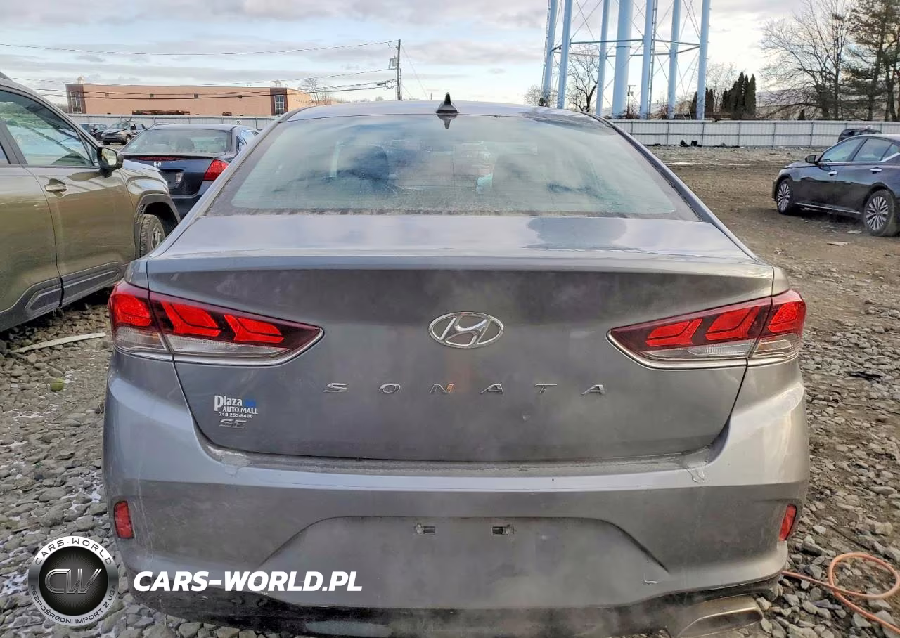2019 Hyundai Sonata Se VIN:5NPE24AF7KH751175 - 6