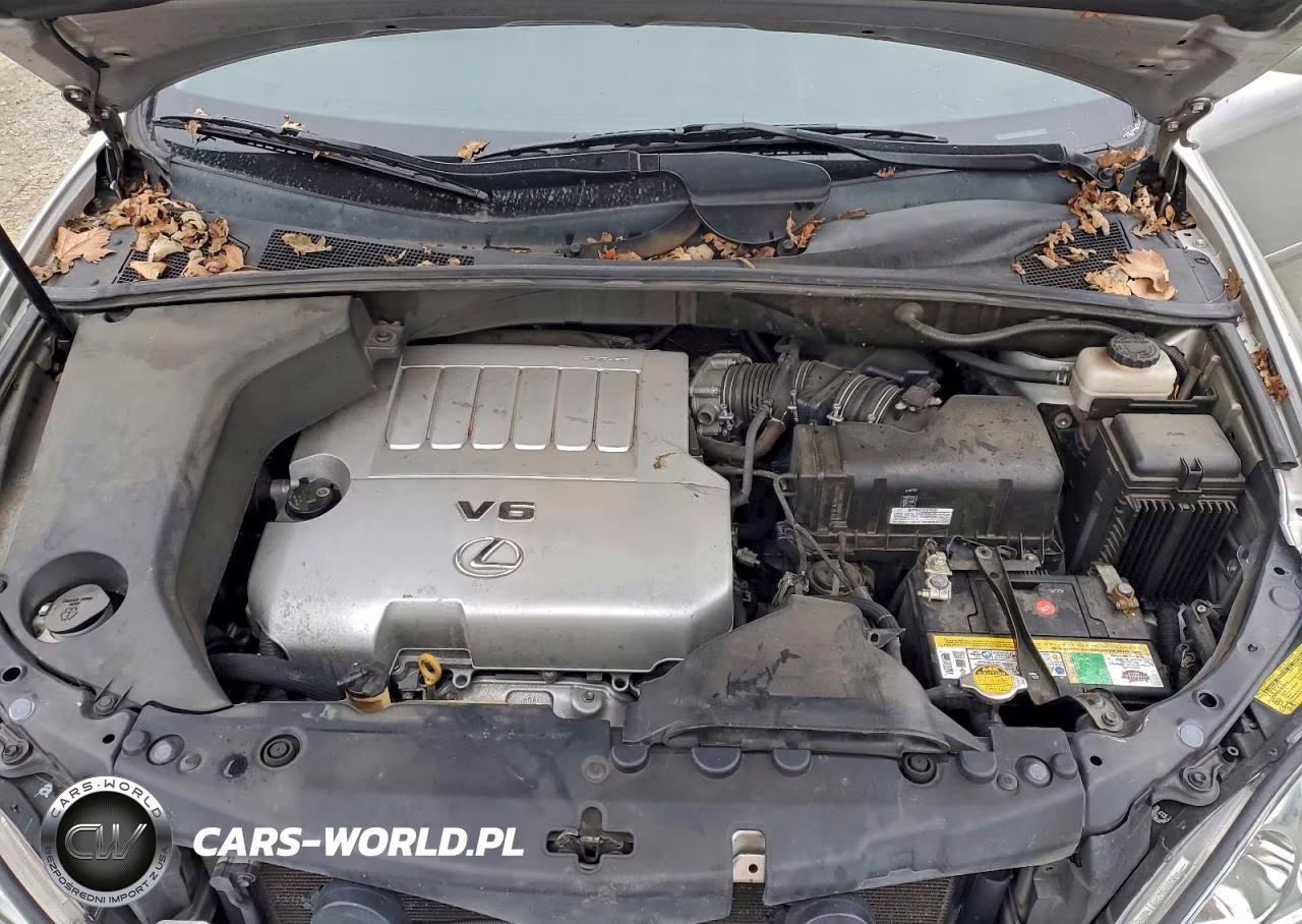 2007 Lexus Rx 350 VIN:2T2HK31U57C029909 - 12