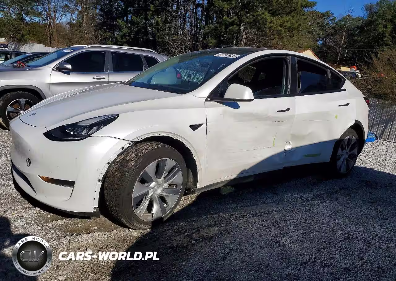 2020 Tesla Model Y