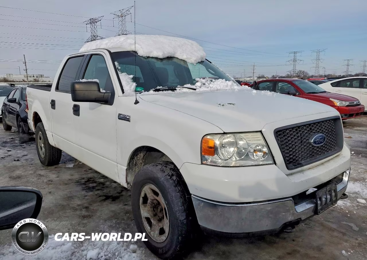 2005 Ford F150 Supercrew VIN:1FTPW14535KE66820 - 4