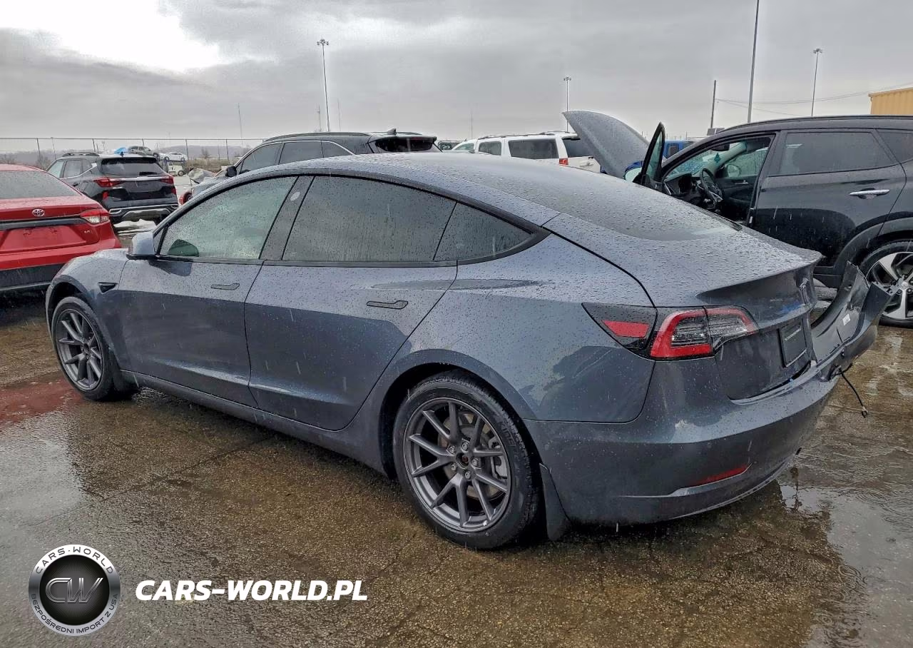 2022 Tesla Model 3 Rear-Wheel Drive VIN:5YJ3E1EA8NF320665 - 2