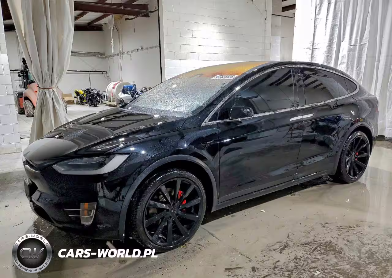 2019 Tesla Model X