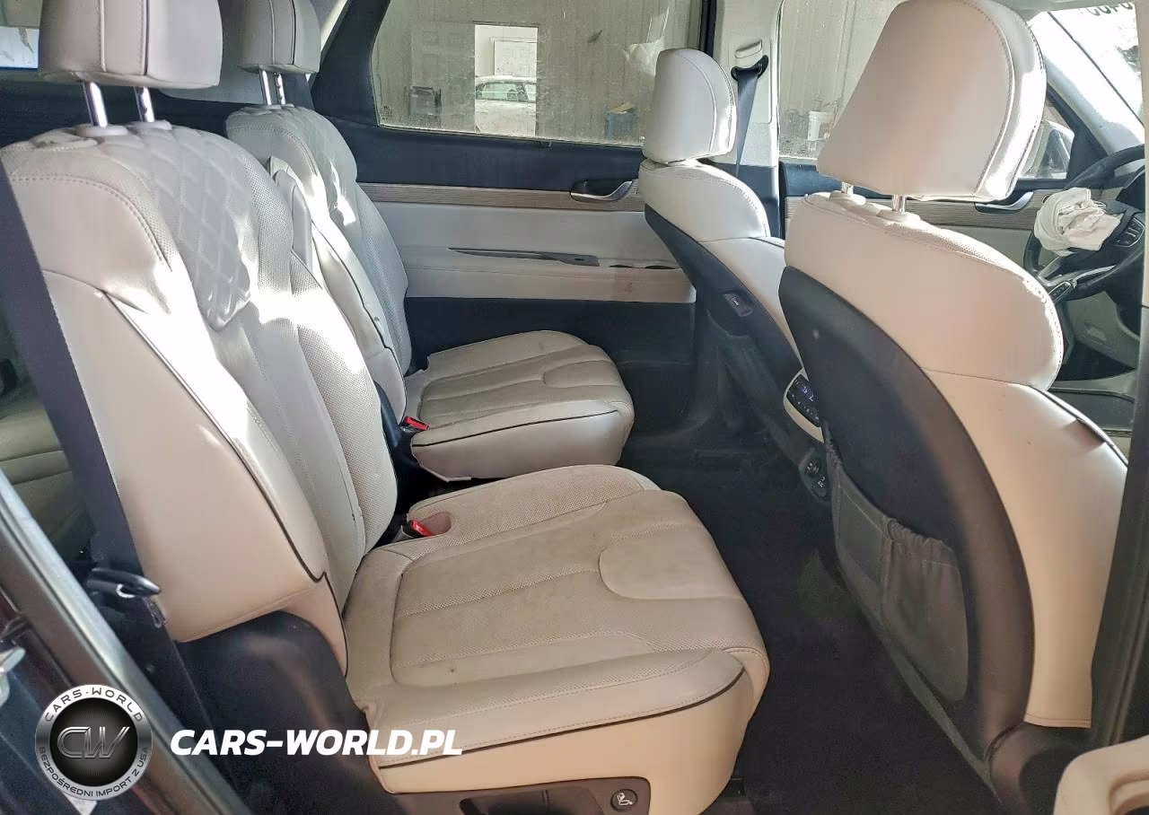 2021 Hyundai Palisade Limited VIN:KM8R5DHE3MU313439 - 11