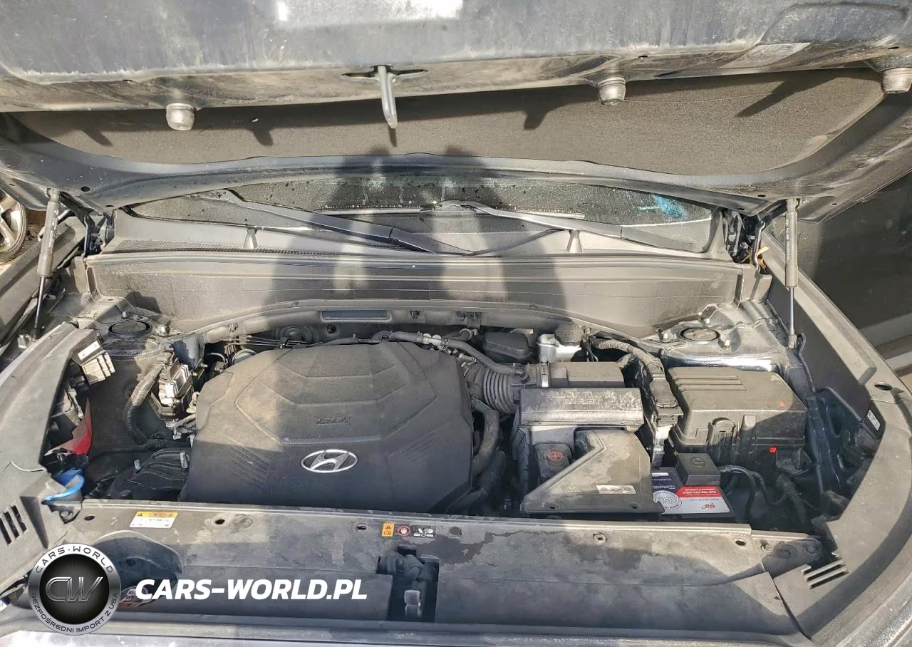 2021 Hyundai Palisade Limited VIN:KM8R5DHE3MU313439 - 12