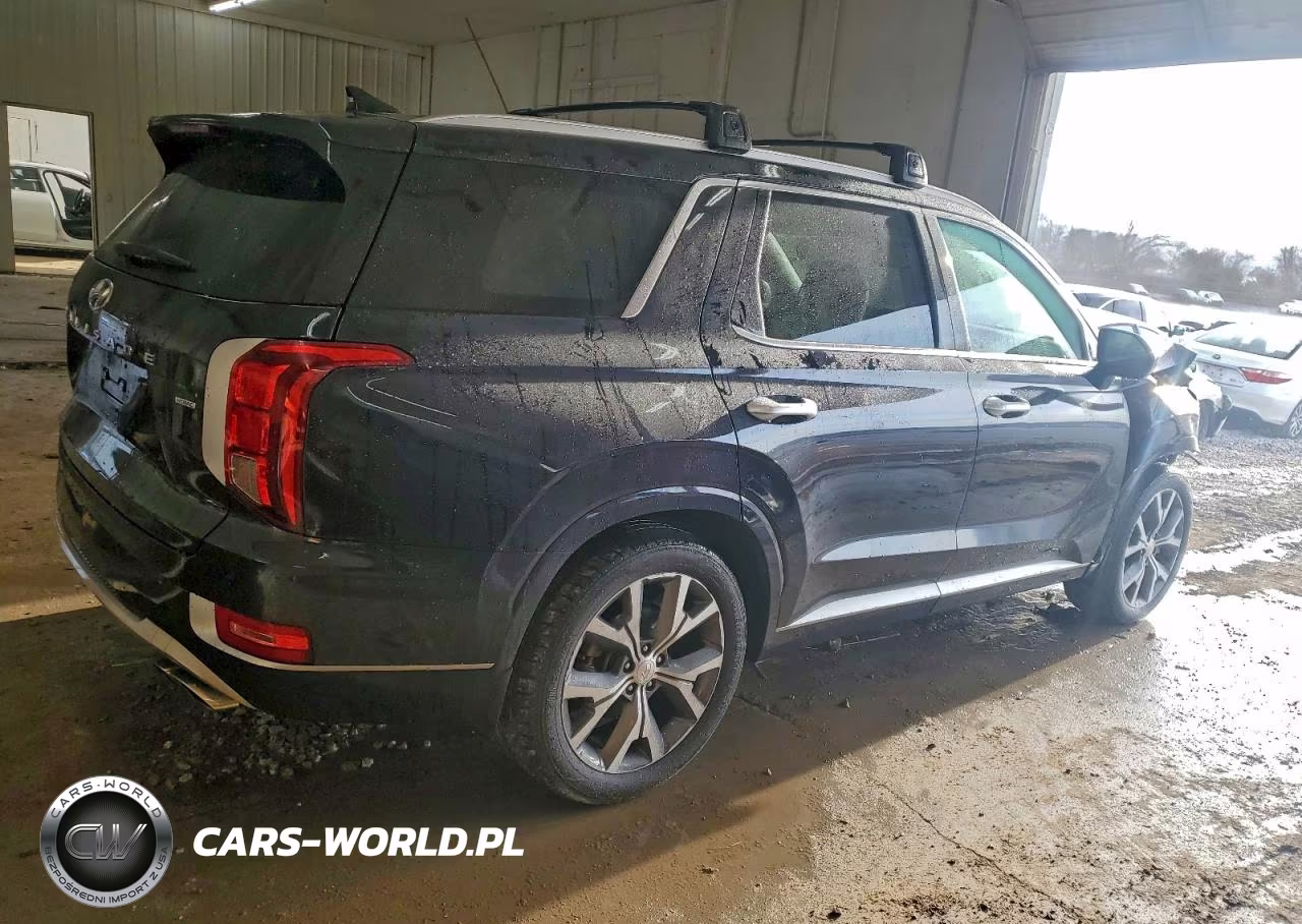 2021 Hyundai Palisade Limited VIN:KM8R5DHE3MU313439 - 3