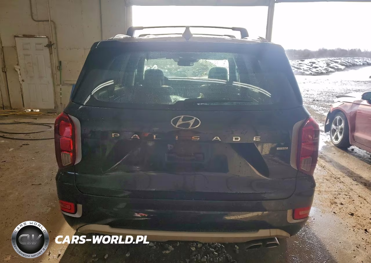 2021 Hyundai Palisade Limited VIN:KM8R5DHE3MU313439 - 6