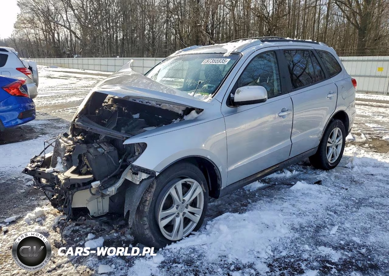 2010 Hyundai Santa Fe Se