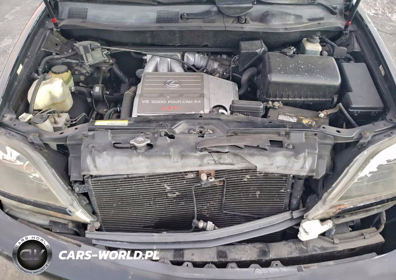 1999 Lexus Rx 300 VIN:JT6GF10U0X0017307 - 12