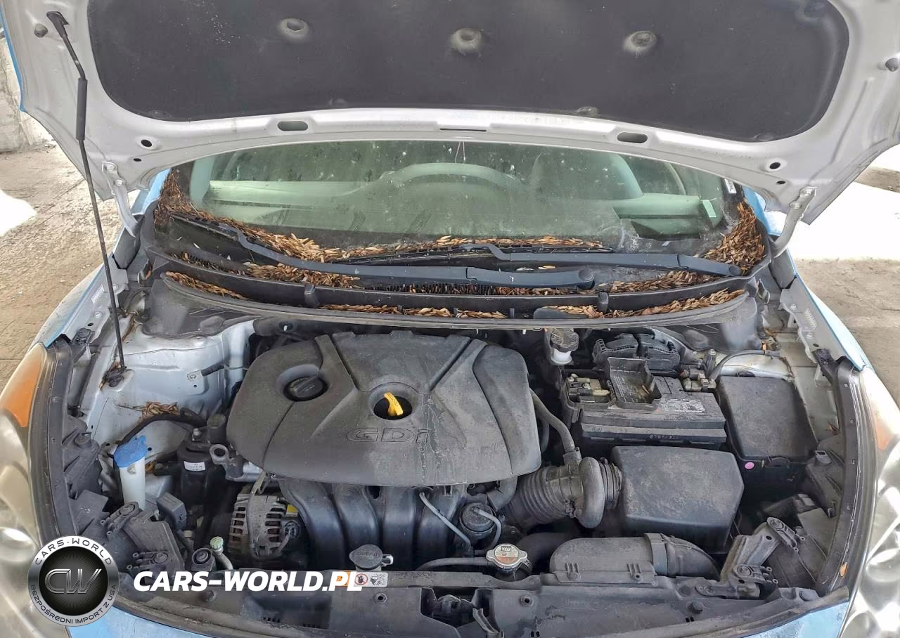 2016 Hyundai Elantra Gt VIN:KMHD35LH6GU305265 - 11