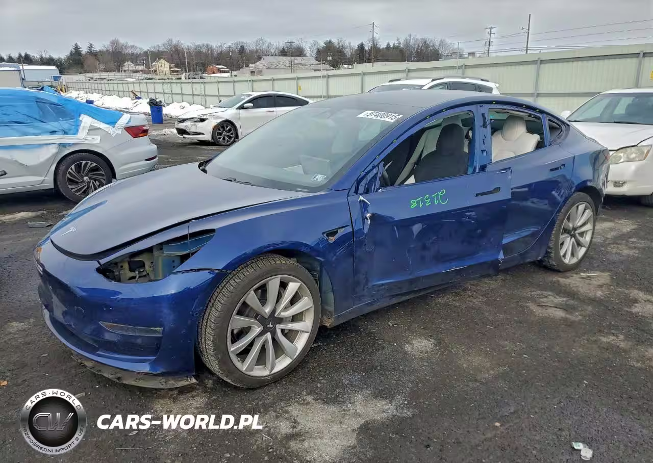 2019 Tesla Model 3
