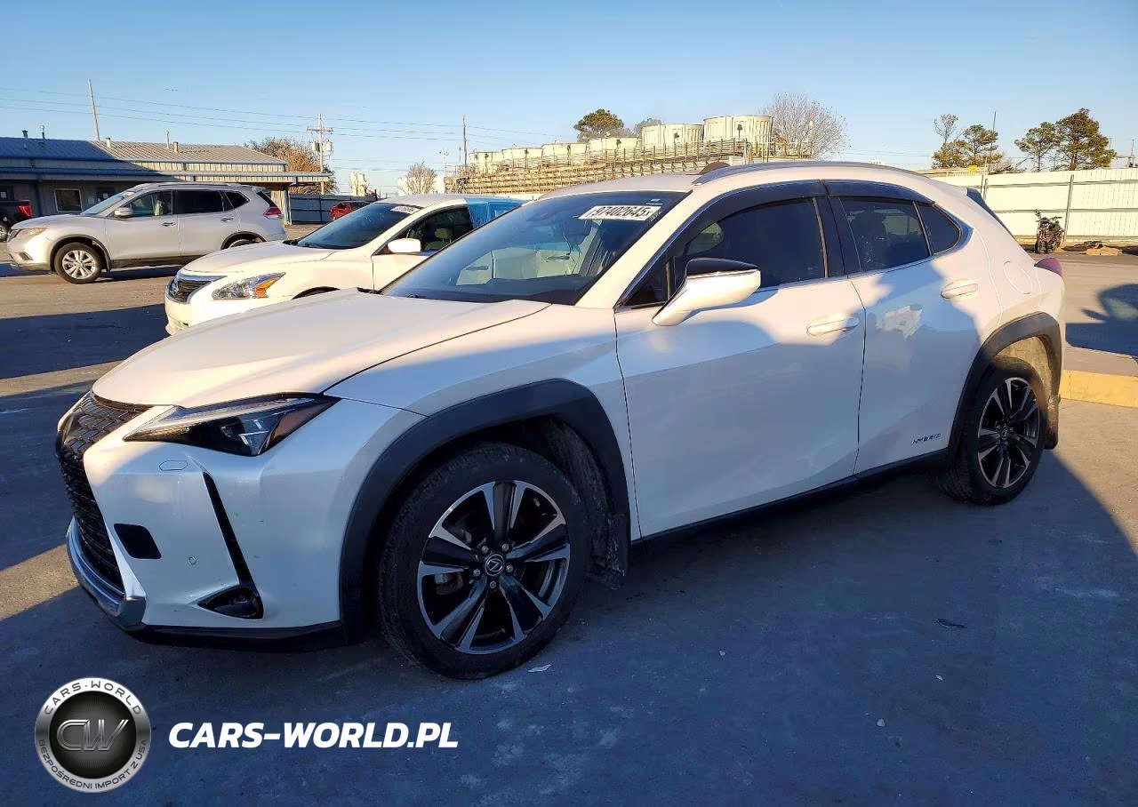 2019 Lexus Ux 250H