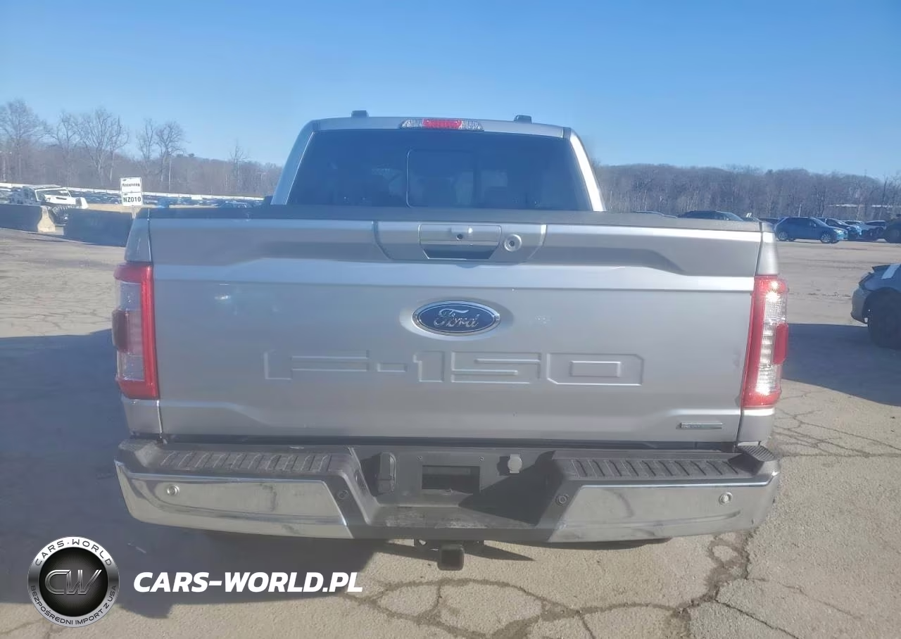 2023 Ford F150 Supercrew VIN:1FTFW1E88PFA83021 - 6