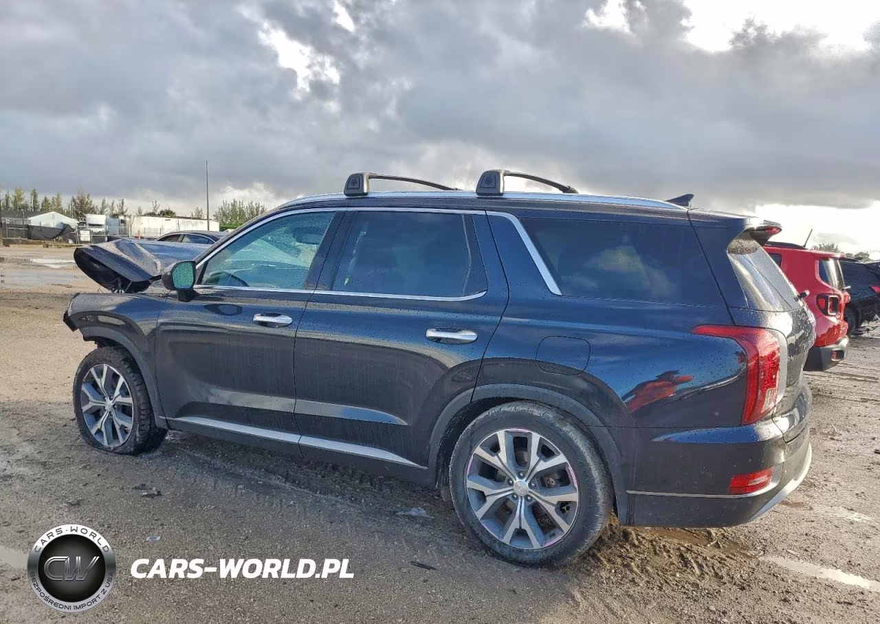 2020 Hyundai Palisade Sel VIN:KM8R44HE5LU098678 - 2