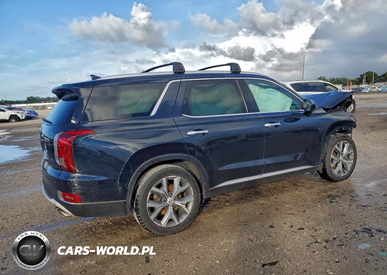 2020 Hyundai Palisade Sel VIN:KM8R44HE5LU098678 - 3