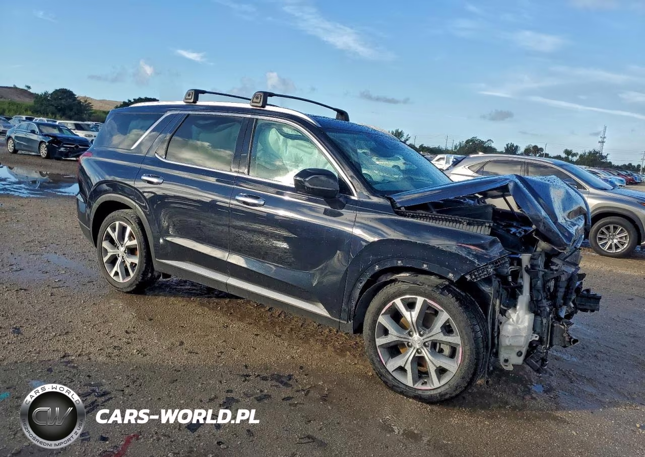 2020 Hyundai Palisade Sel VIN:KM8R44HE5LU098678 - 4