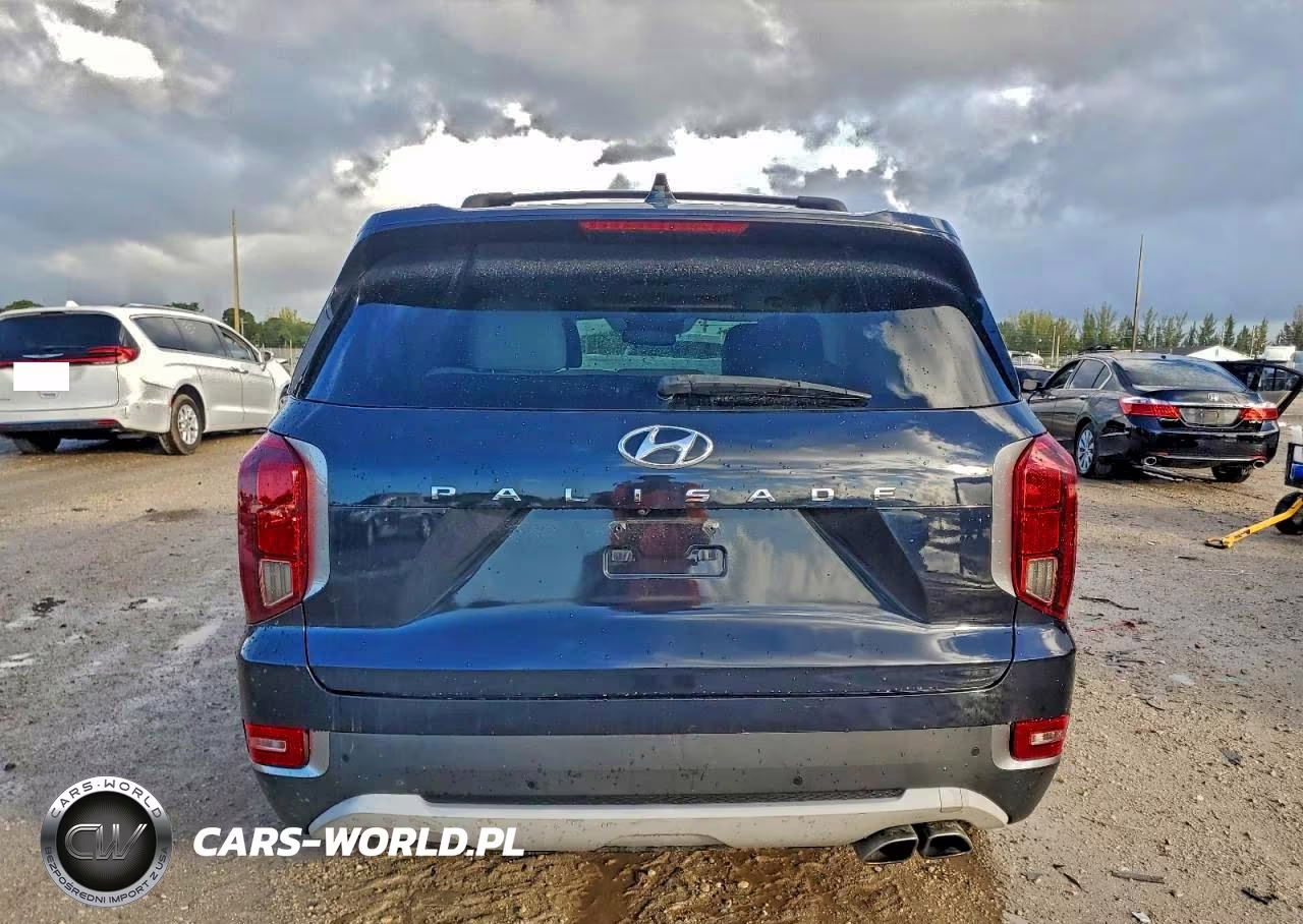 2020 Hyundai Palisade Sel VIN:KM8R44HE5LU098678 - 6