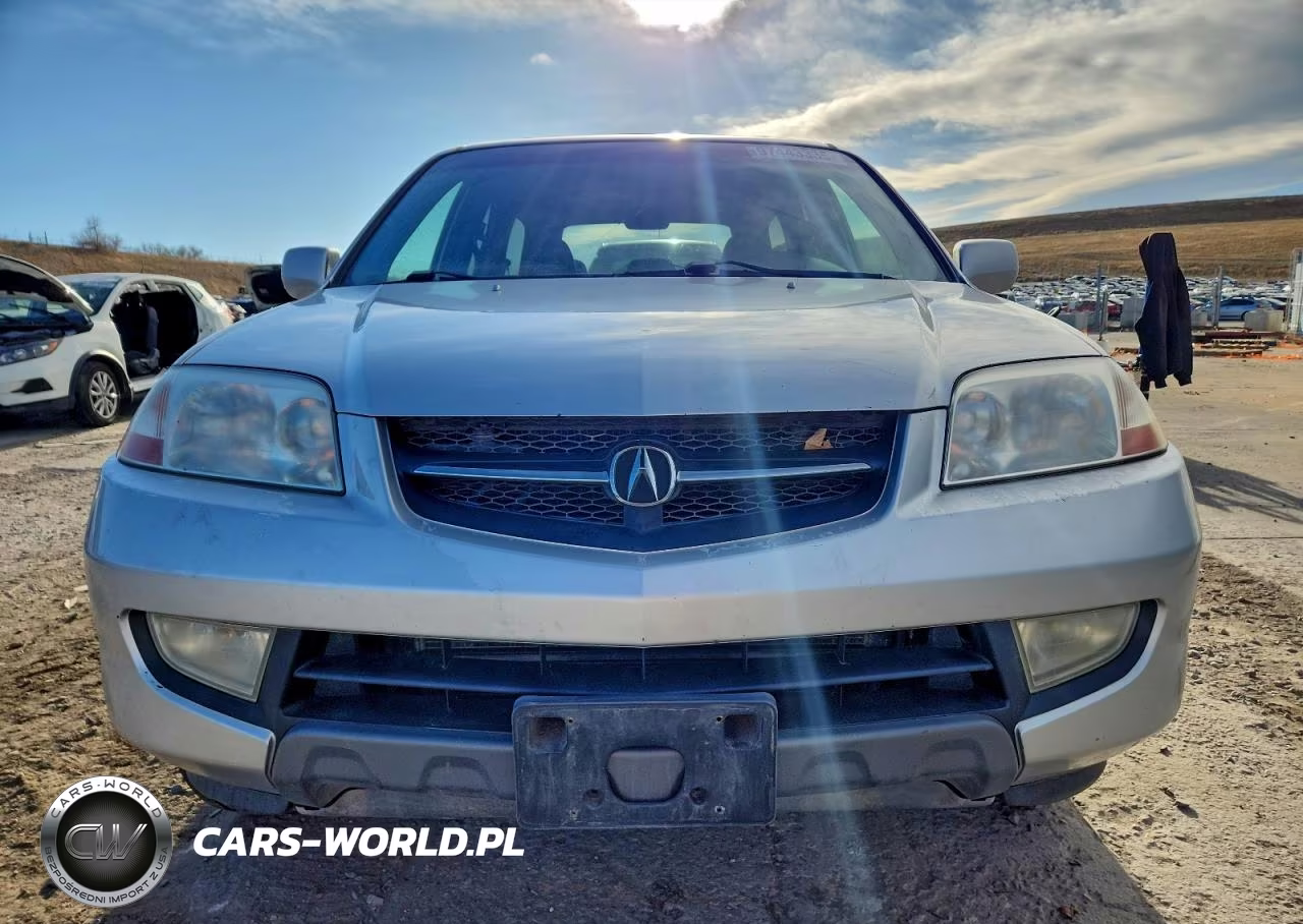2003 Acura Mdx Touring VIN:2HNYD18793H550449 - 5