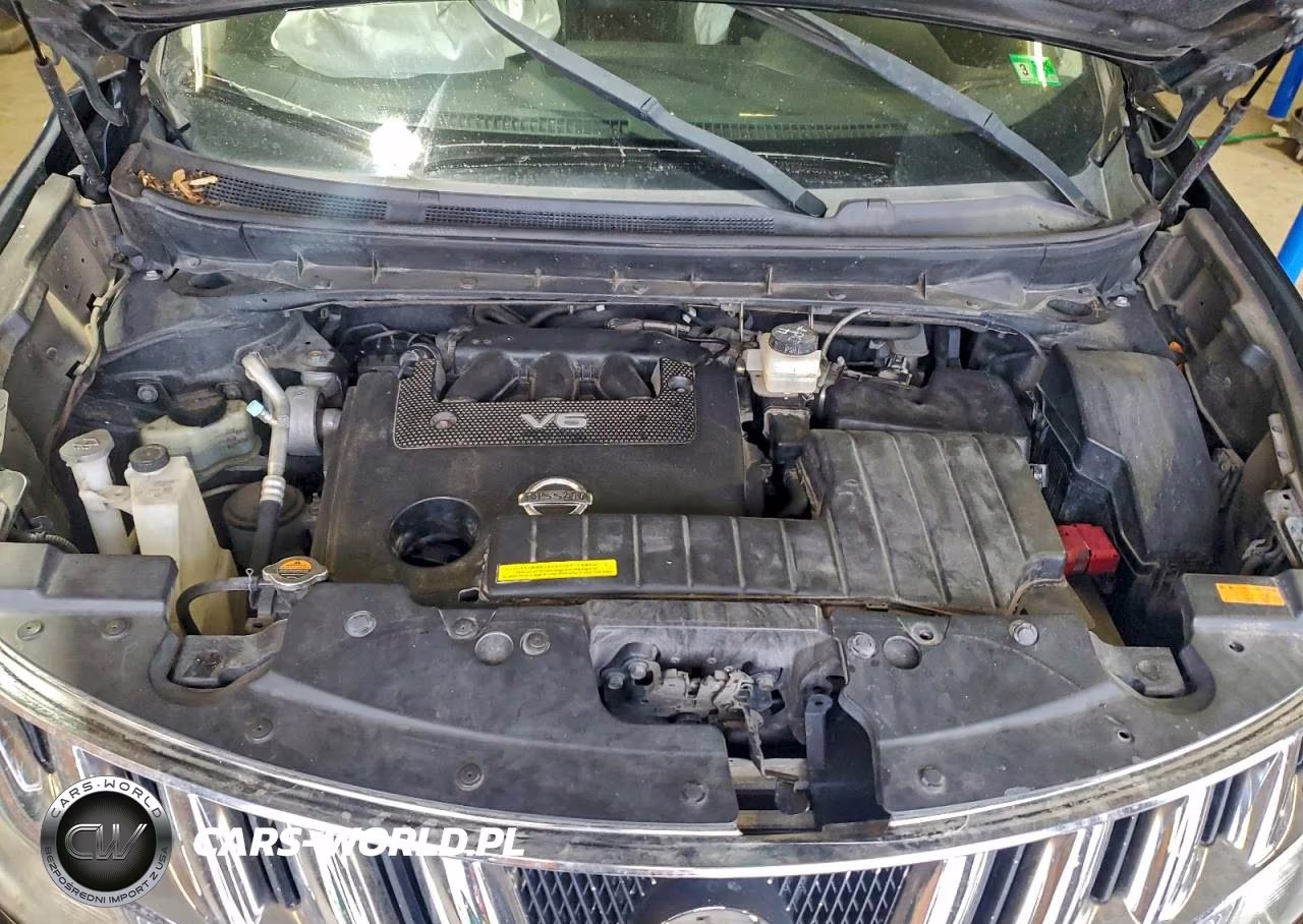 2010 Nissan Murano S VIN:JN8AZ1MW6AW125506 - 11