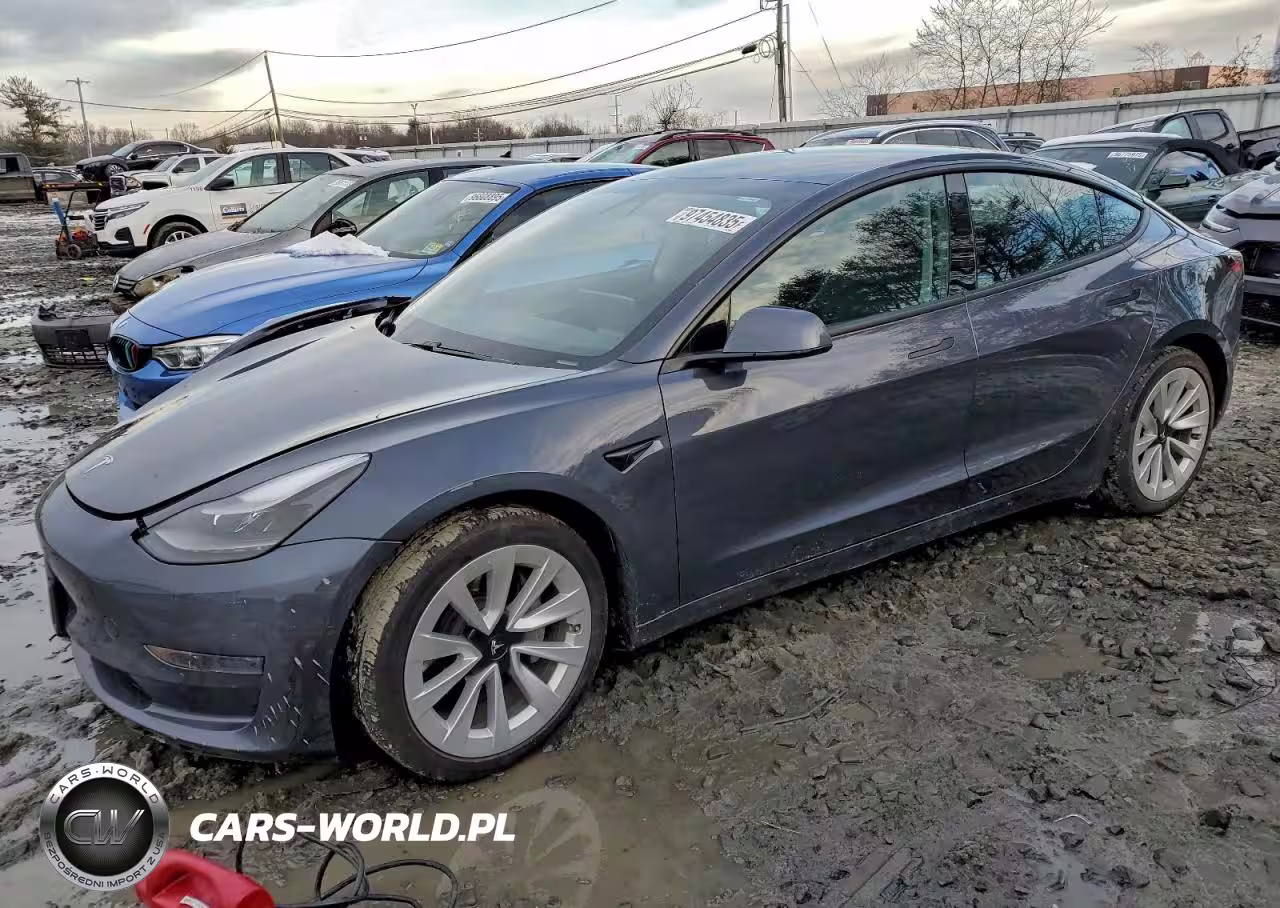 2021 Tesla Model 3