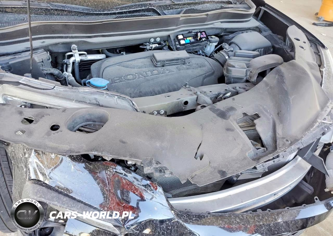 2022 Honda Pilot Exl VIN:5FNYF5H51NB006445 - 12