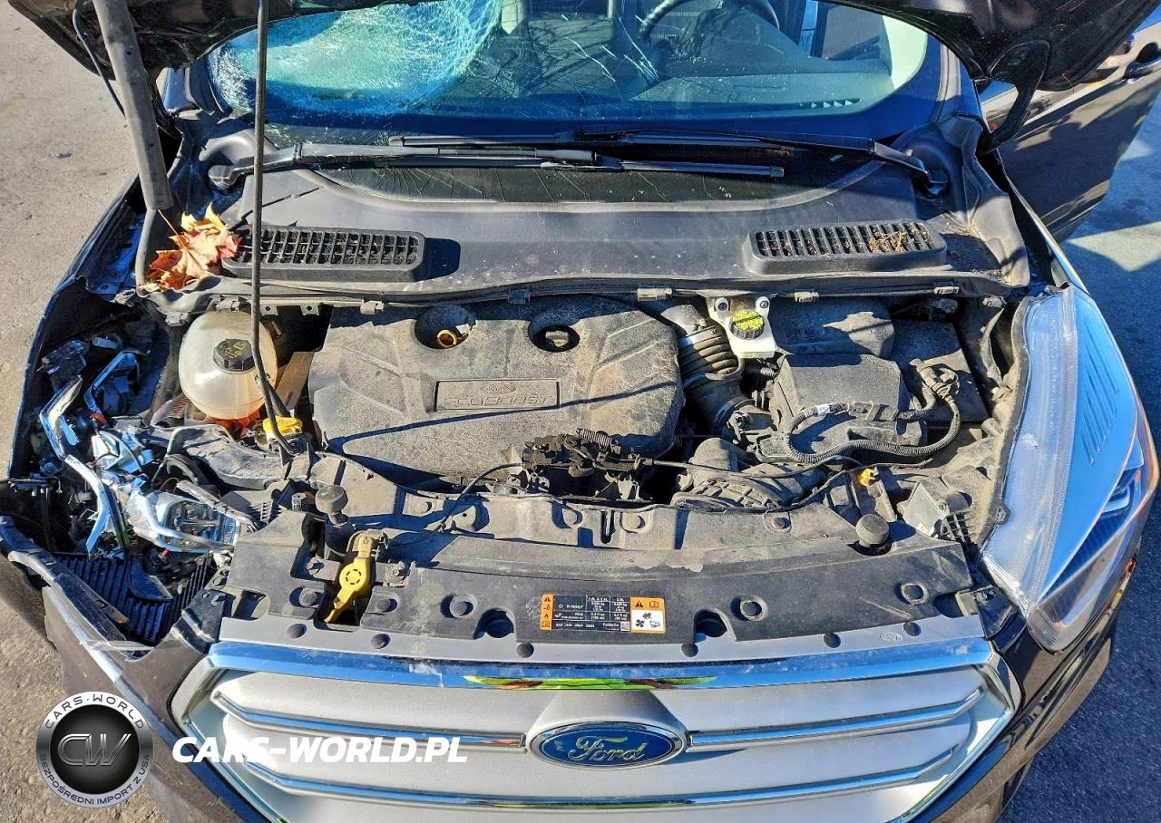 2019 Ford Escape Titanium VIN:1FMCU9J96KUC40275 - 11