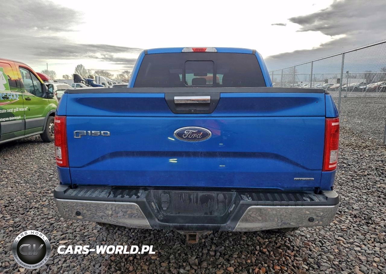 2016 Ford F150 Supercrew VIN:1FTEW1EF8GFA61725 - 6
