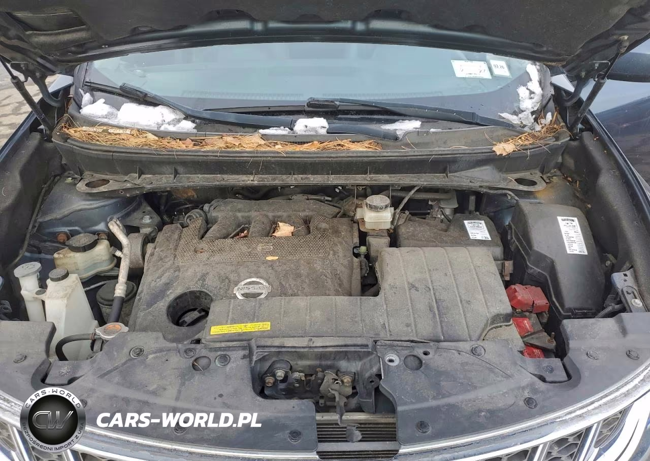 2014 Nissan Murano S VIN:JN8AZ1MWXEW532458 - 11