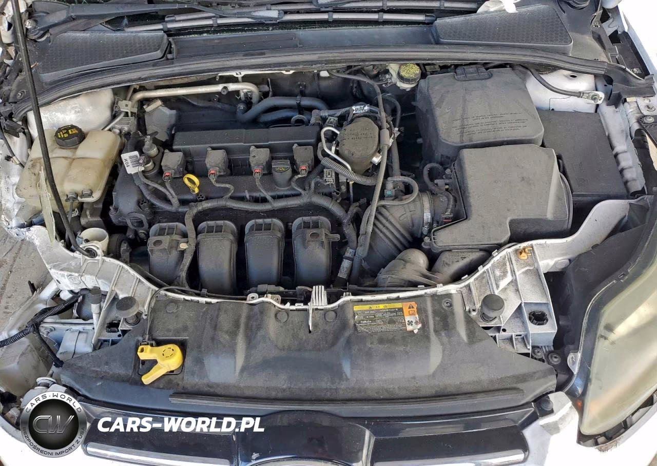 2014 Ford Focus Titanium VIN:1FADP3N25EL448156 - 11