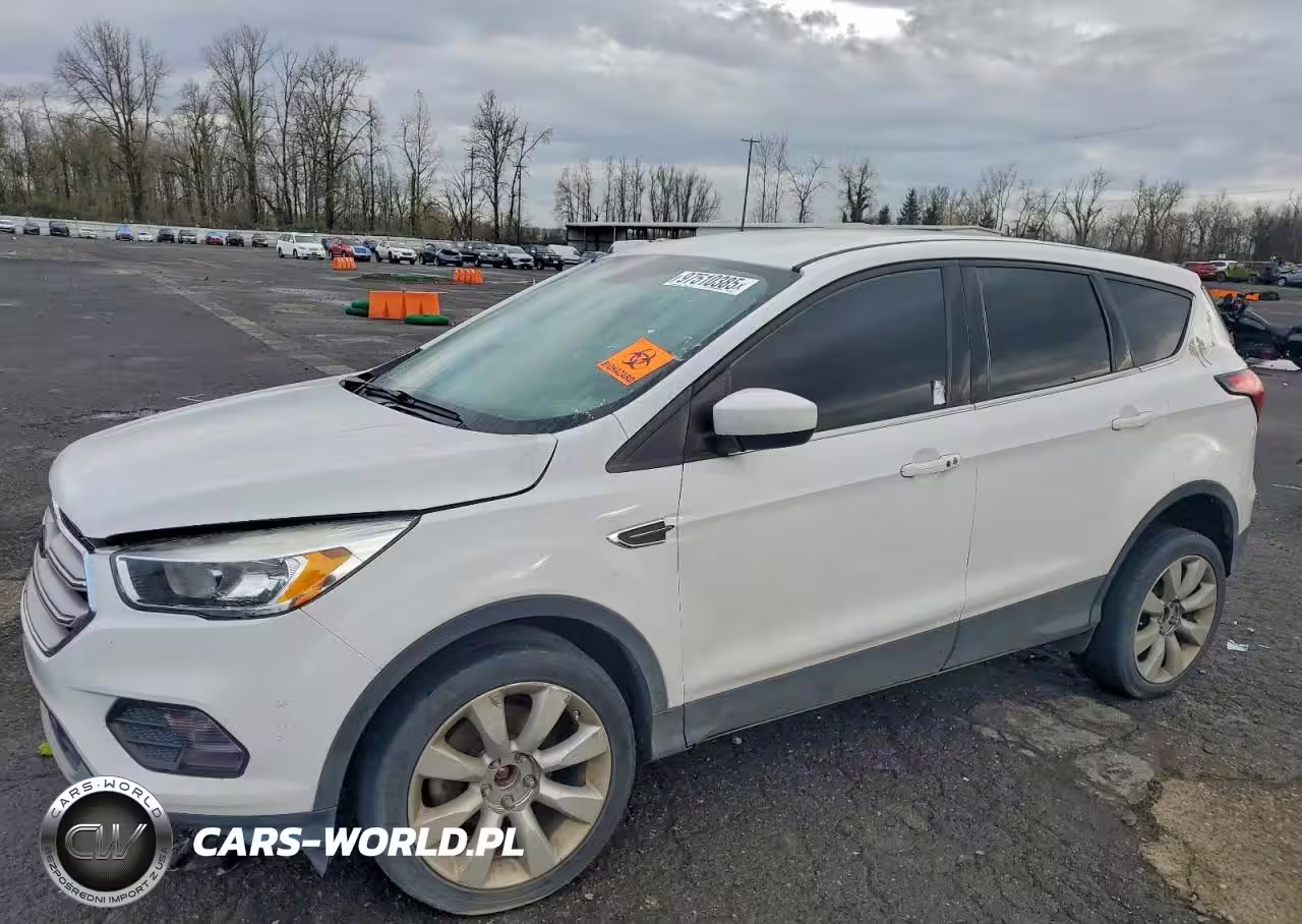 2019 Ford Escape Se