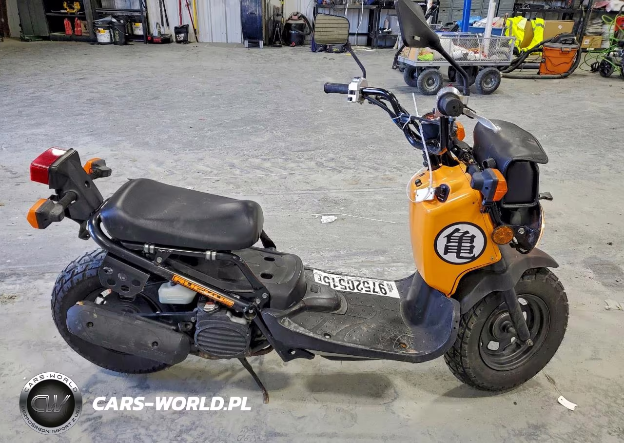 2011 Honda Nps50