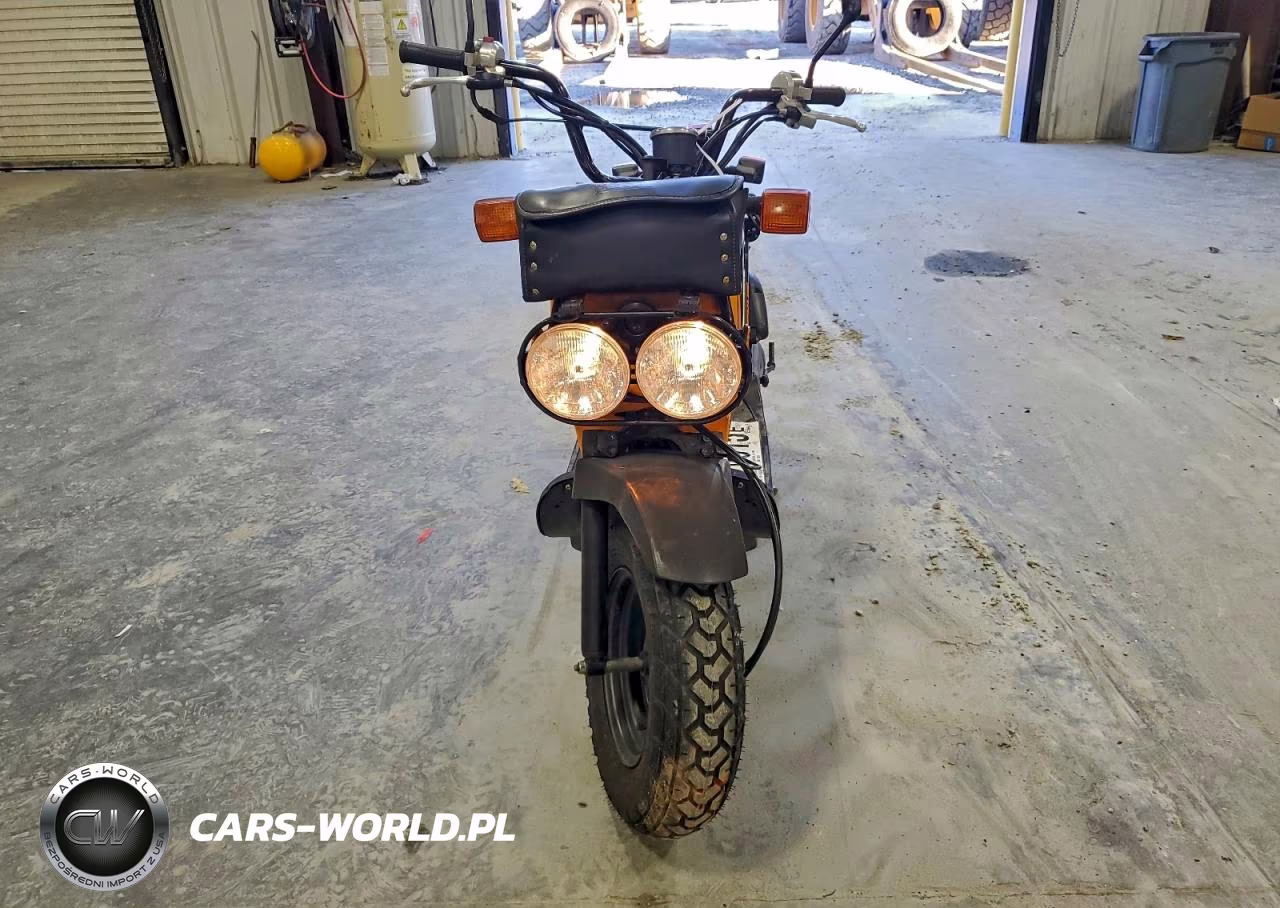 2011 Honda Nps50 VIN:JH2AF580XBK703723 - 2