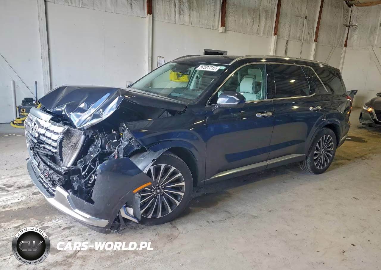 2024 Hyundai Palisade Calligraphy VIN:KM8R7DGE7RU737354 - 1