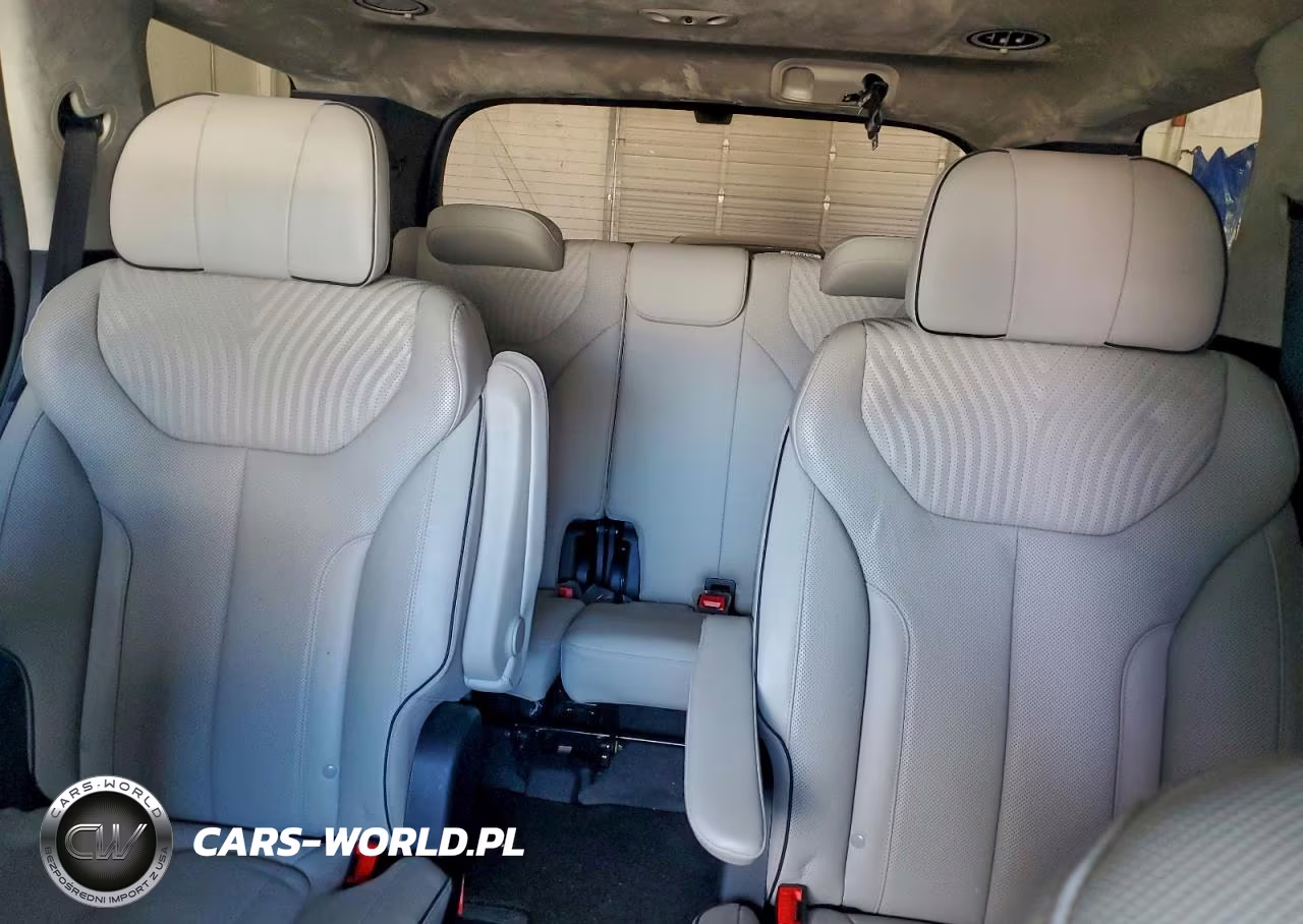 2024 Hyundai Palisade Calligraphy VIN:KM8R7DGE7RU737354 - 10