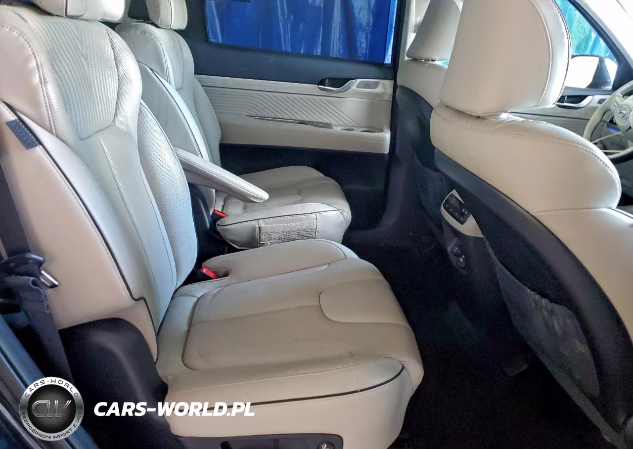2024 Hyundai Palisade Calligraphy VIN:KM8R7DGE7RU737354 - 11