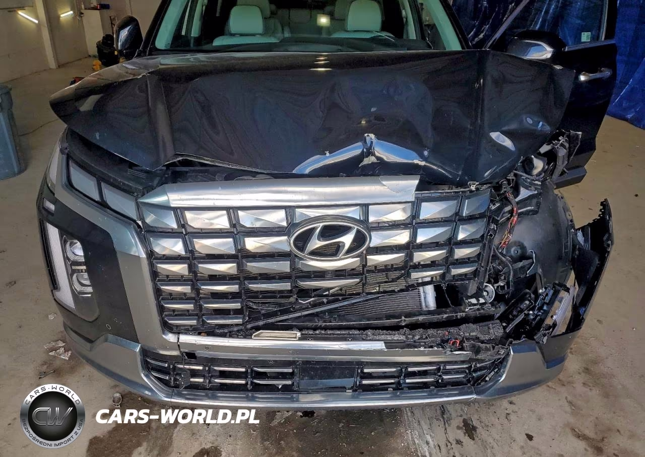 2024 Hyundai Palisade Calligraphy VIN:KM8R7DGE7RU737354 - 12