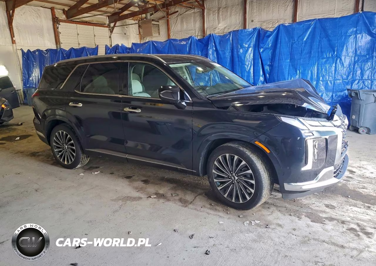 2024 Hyundai Palisade Calligraphy VIN:KM8R7DGE7RU737354 - 4
