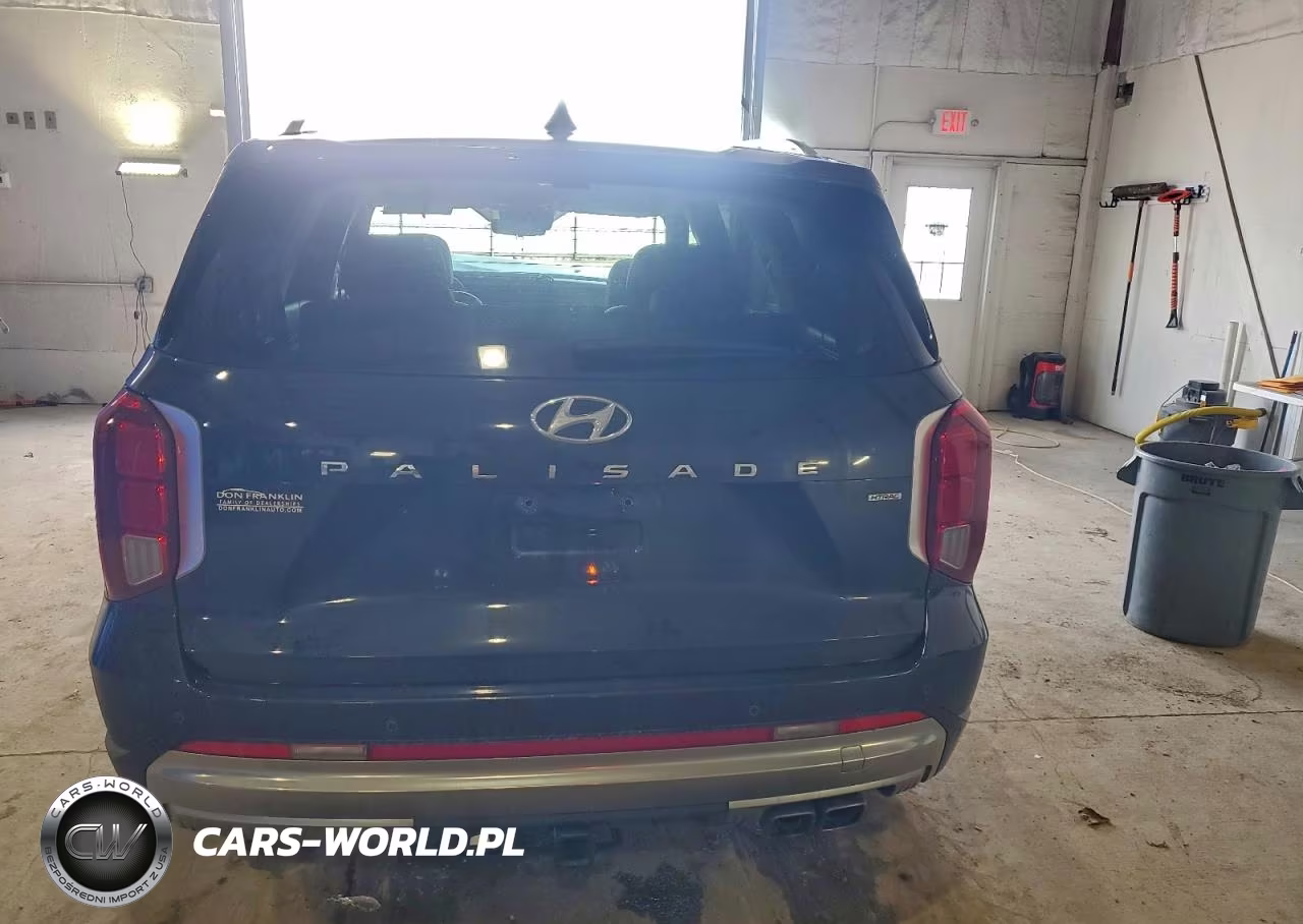 2024 Hyundai Palisade Calligraphy VIN:KM8R7DGE7RU737354 - 6