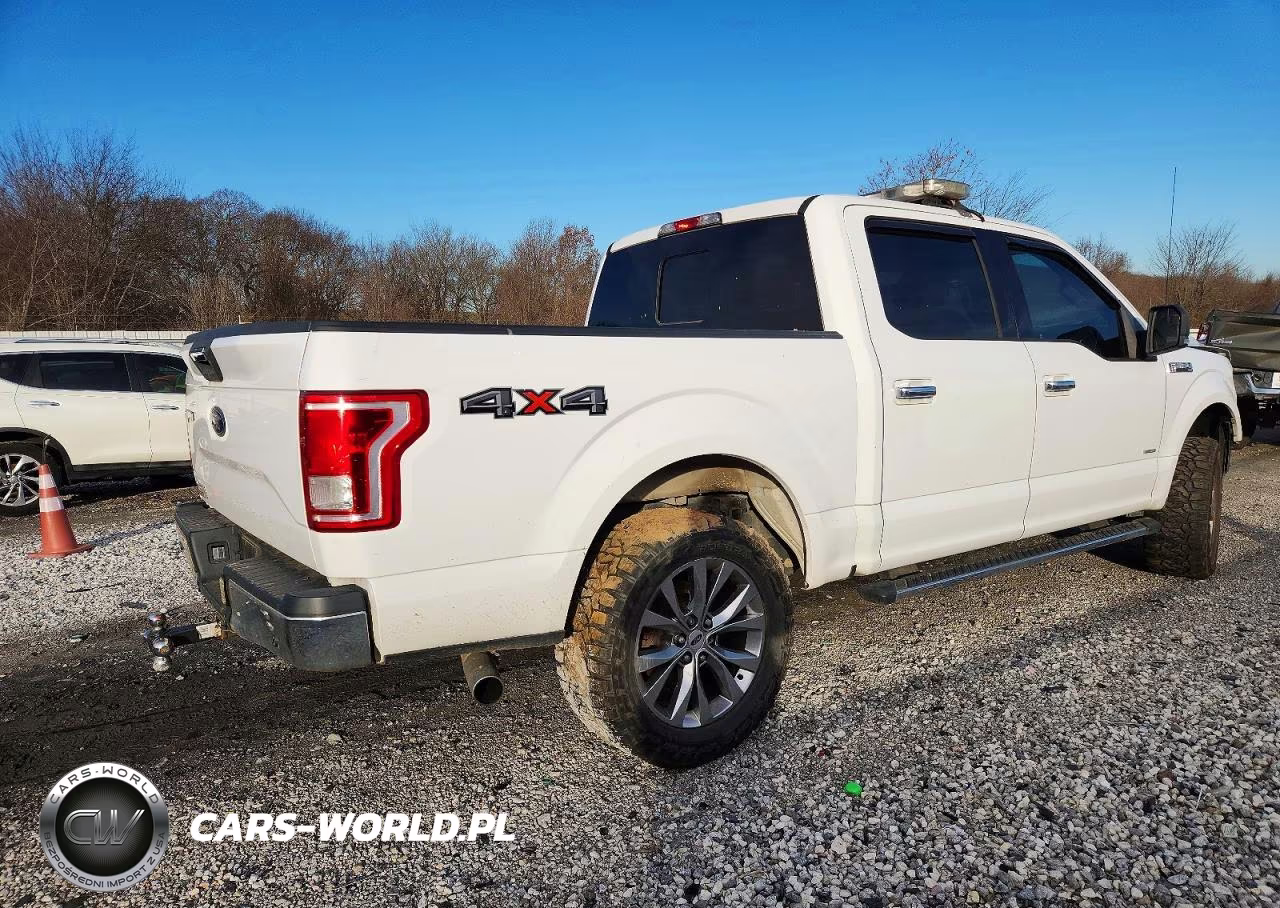 2016 Ford F150 Supercrew VIN:1FTEW1EG9GKE72762 - 3
