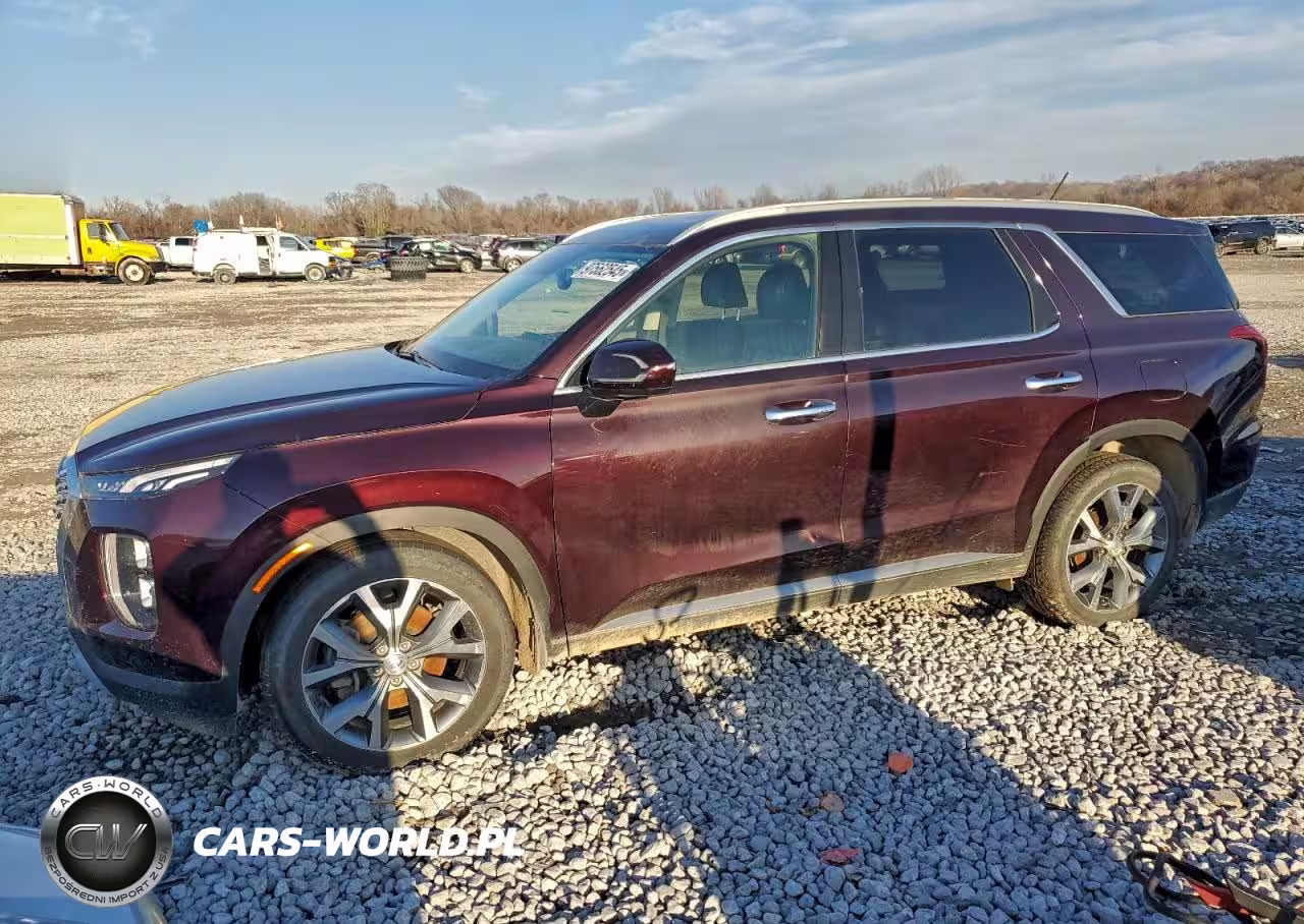 2020 Hyundai Palisade Sel