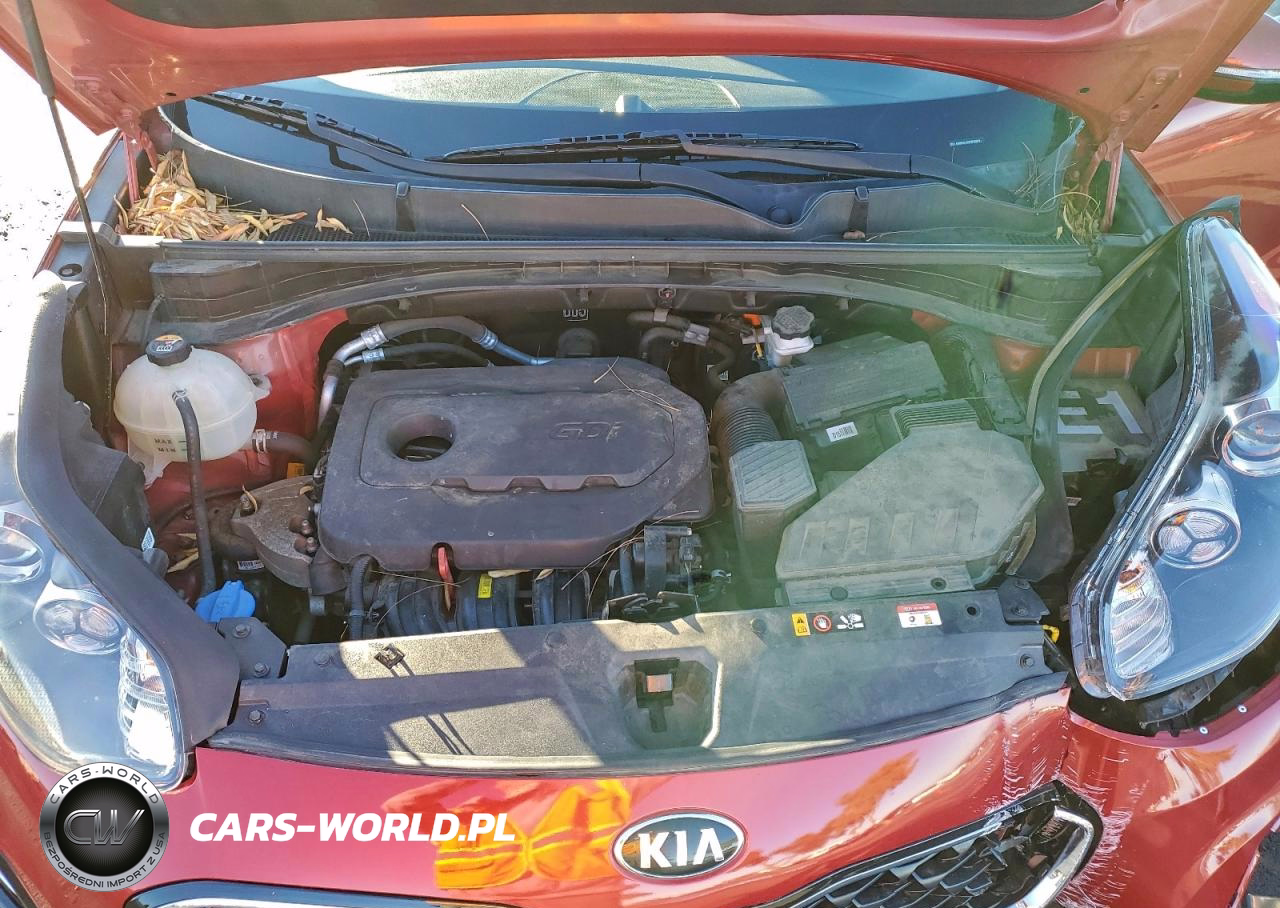 2020 Kia Sportage VIN:KNDPMCAC0L7683679 - 12