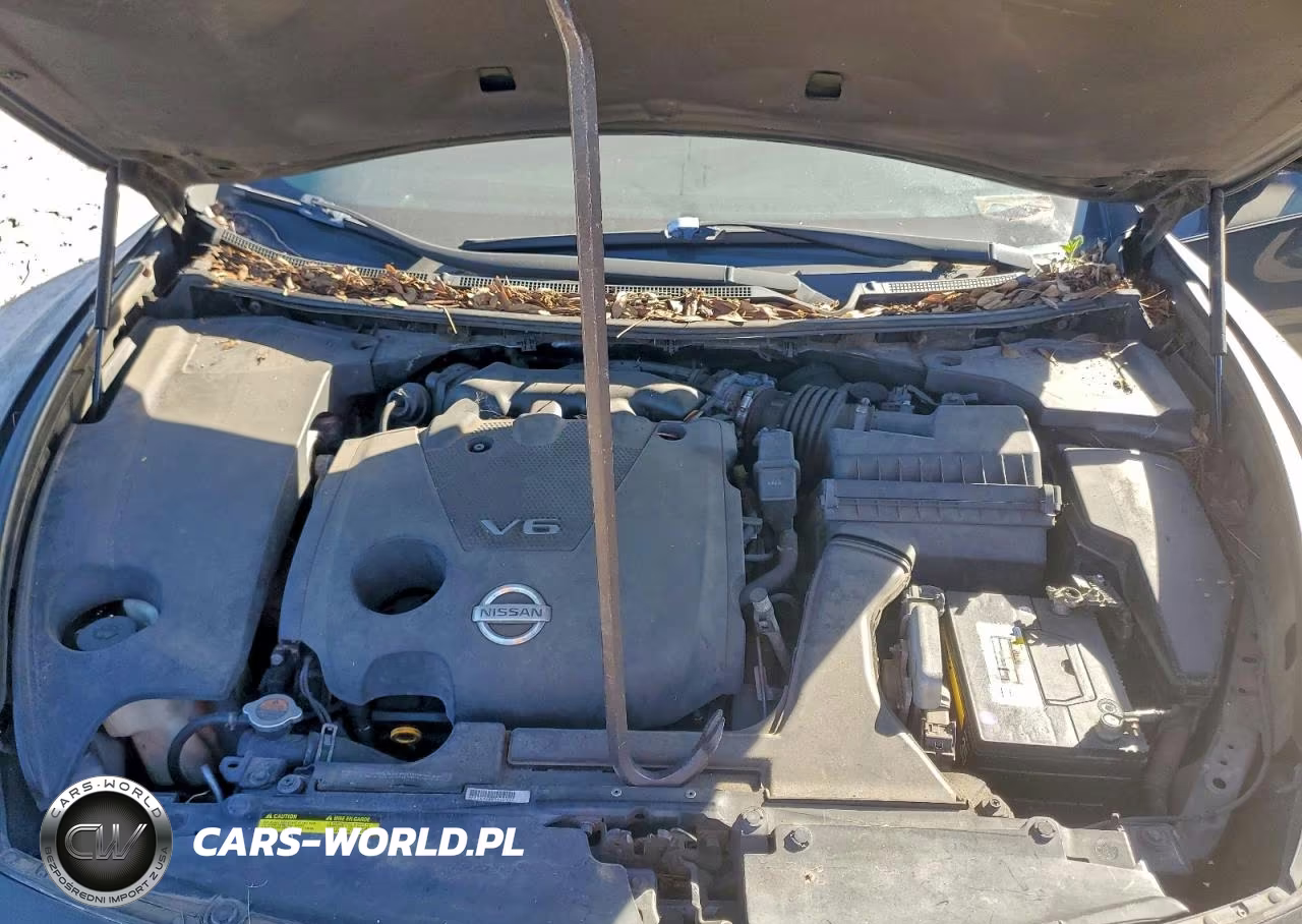 2009 Nissan Maxima 3.5 VIN:1N4AA51EX9C827840 - 11
